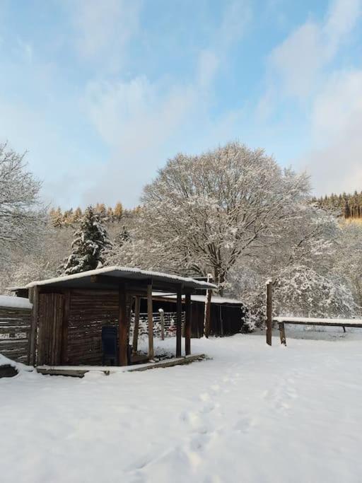 Charmante Maison De Caractere A 2Km De Redu Villa Libin Bagian luar foto