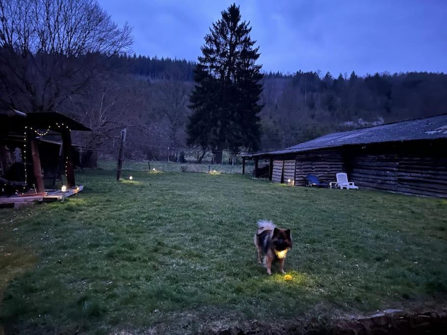 Charmante Maison De Caractere A 2Km De Redu Villa Libin Bagian luar foto