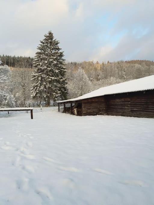 Charmante Maison De Caractere A 2Km De Redu Villa Libin Bagian luar foto